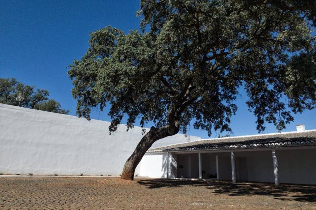 Casa del Príncipe Daimiel Exterior foto